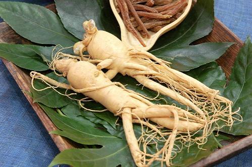 Bài thuốc cải thiện sức khỏe bệnh đường tiêu hóa