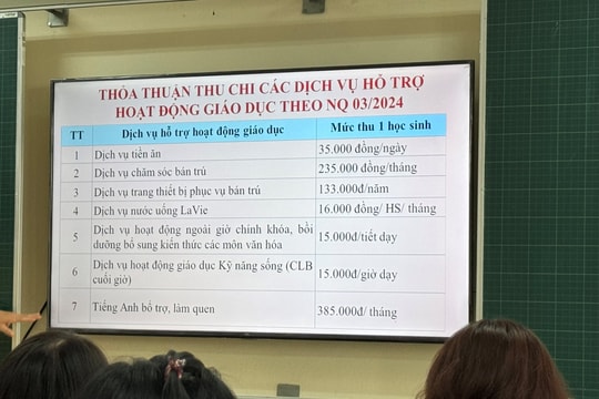 Xã hội hóa giáo dục: Bao nhiêu là đủ?